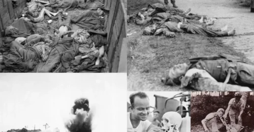UNTHINKABLE HORRORS: The Darkest U.S. War Crimes of WWII They Never Taught You in School – The Truth Will Leave You Speechless!