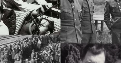 SHOCKING TRUTH: The Horrifying Experiments of Nazi 