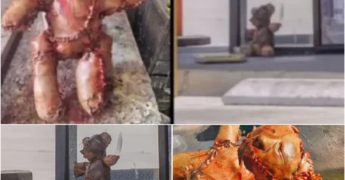HORROR AT THE PUMP: 'Human Skin' Teddy Bear Found at California Gas Station - Is It REAL?