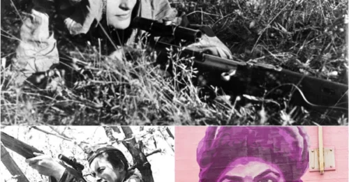 Lady Death’ Had 309 Confirmed Kills — The Chilling Math Behind History’s Deadliest Female Sniper — Just 24 Years Old