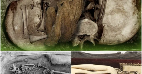 The Horrifying Reality: The Macabre Phenomenon of Coffin Births—Nature’s Most Disturbing Final Act - Where Death Gives Twisted 