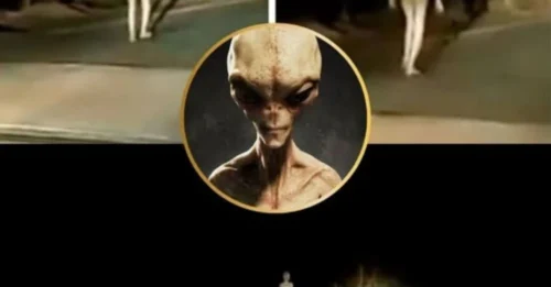 A viral video of a ‘strange figure’ at night sparks wild claims of alien contact—“They’re getting closer,” conspiracy theorists warn.