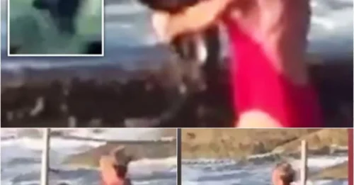 SHOCKING POOL DRAMA: Agent flips shark like a house deal—neighbors say 'this wasn’t the first time!