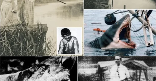 The horrific 1916 Jersey Shore shark attacks terrified the entire United States, inspiring the classic film Jaws