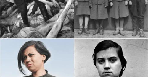 THE BEAUTIFUL MONSTER: The bloodthirsty, chilling life of Anneliese Kohlmann - the Nazi torturer and her brutal reign of terror in the concentration camp.