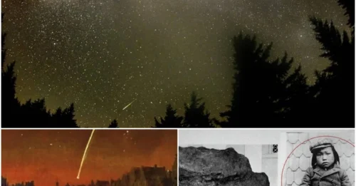 SHOCKING 19TH CENTURY RECORD REVEALED: The Only Known Human Killed by a Meteorite—Truth Stranger Than Fiction!