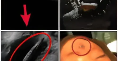 1.5 Million-Year-Old Alien Spacecraft Found on Moon with Alien Bodies During Apollo 19 and 20 Missions