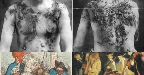 Tarred & Feathered: The Horrifying Punishment That Defined Mob Justice for Centuries – And Its Bloody Aftermath