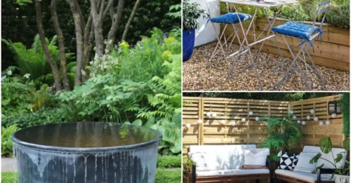 Small garden ideas – 15 brilliant ways to transform a tiny outdoor space