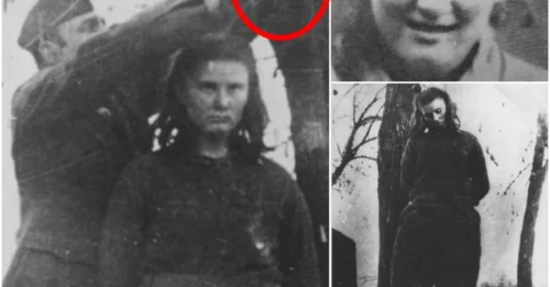 The ‘Beautiful Spectre’: Lepa Radić Defied the Nazi Empire - The 17-Year-Old Girl Hanged Before Nazi Guns, Her Defiant Smile Revered by the World.