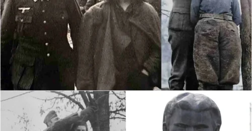 The Legendary 17-Year-Old Lepa Radić: Defying the Nazi Empire - Hanged Yet Smiling Defiantly at Her Executioners