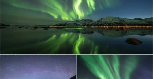 THIS NORWEGIAN 