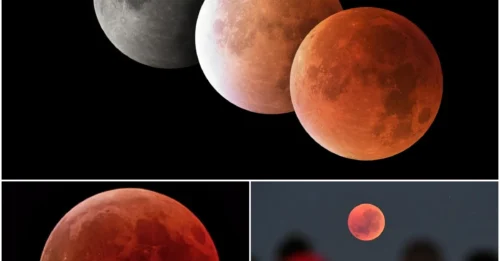 A Rare Cosmic Event - The Night the Moon Bleeds: The Moon Will Be Swallowed in Shadow and Reborn in Fiery Red on September 7, 2025