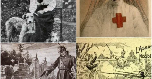 HER CRIME WAS COMPASSION: The Brutal Execution of Edith Cavell – How Edith Cavell Defied War & Paid with Her Life for Saving Soldiers on Both Sides of the War I