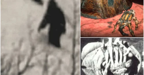 From snowy mountains to deep forests – 7 times the Yeti appeared, making humanity question everything!
