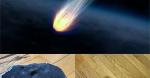 A Meteorite from Halley’s Comet Just Crashed Into a New Jersey Home – A Once-in-a-Lifetime Impact!