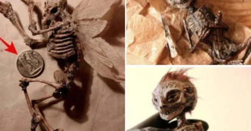 Unveiling the mystery of a 10,000yearold coin archaeologists redefine history with an unprecedented discovery that challenges all previous knowledge