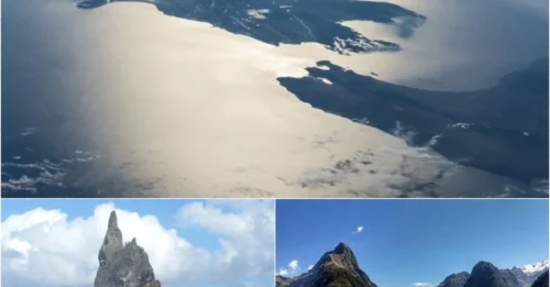 Zealandia: The Lost 8th Continent That Sank Beneath the Pacific Millions of Years Ago—And It’s Rising Again!