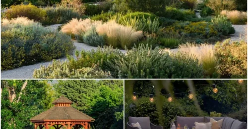 Mega Mistake: Top Garden Designers Are Calling Out These Overused Trends—Is Your Garden on the List?