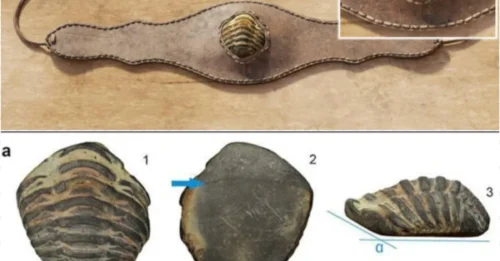 Mysterious Talisman: 250-Million-Year-Old Trilobite Worshipped by the Romans