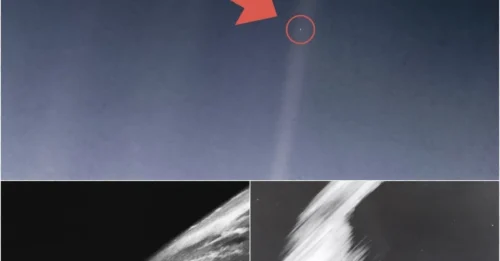 Voyager 1’s Shocking ‘Pale Blue Dot’ Photo Reveals Earth’s True Place in the Universe