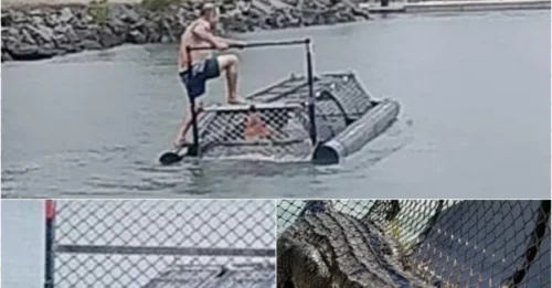 Reckless or Criminal? Disturbing Footage Shows Men Interfering with Deadly Crocodile Trap!