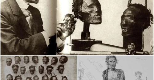 Major General Horatio Gordon Robley shocked the world with his collection of Mokomokai tattooed heads – the terrifying secret behind the Maori's 'trophies'!