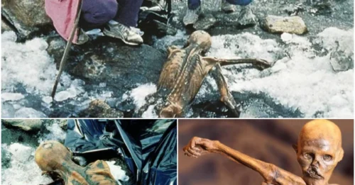 Ötzi the Iceman - The World’s Oldest Mummy with a Dark Past, Exposing Brutal Survival in Prehistoric Europe