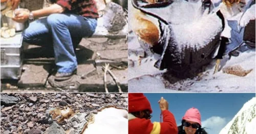 DEATH ON THE ROOF OF THE WORLD: The Chilling Final Moments of Hannelore Schmatz on Everest's Death Zone