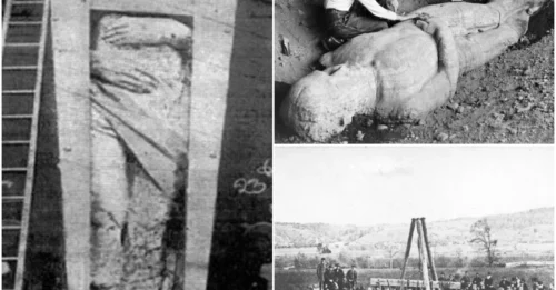 How The Cardiff Giant Became Perhaps The Greatest Hoax In American History