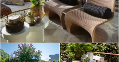 10 Backyard Deck Ideas for Stylish Outdoor Entertaining on a Budget