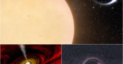 Earth’s Dangerous Neighbor: Astronomers Find a Black Hole Next Door!