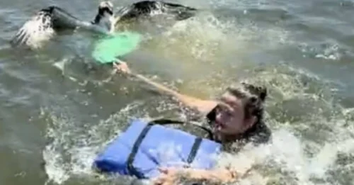 LIFE-OR-DEATH DRAMA: Boaters Make Split-Second Decision to Save Struggling Animal!