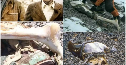 George Mallory’s body was FROZEN in time for 75 years on Everest — and the 1999 discovery revealed a SHOCKING clue about his final moments!