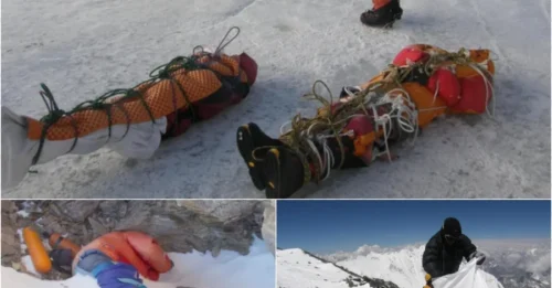 When the Snow Melts, Everest’s Grim Reality Is Revealed: 300+ Bodies, 11 Tons of Trash, and a High-Risk Clean-Up by the Nepalese Army...and...