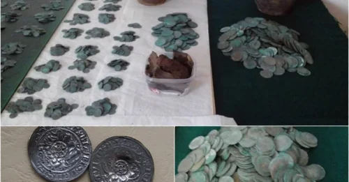 Giant Hoard of 6,000 Silver Coins Suddenly Unearthed in a Polish Forest!
