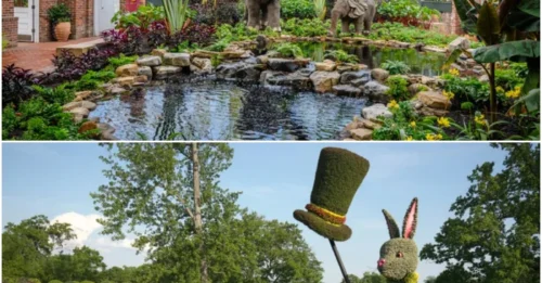 5 Whimsical Garden Ideas to Steal from the Most Enchanting Landscapes in the Country