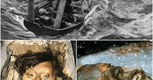 The truth about the 19th-century cannibal shipwreck is finally out, and it’s more disturbing than anyone imagined!