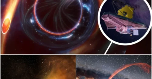 James Webb Space Telescope finds black holes that waited patiently before devouring stars in dusty galaxies