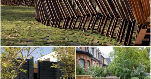 16 Modern Garden Fence Ideas to Elevate Your Outdoor Space