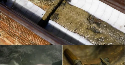 Unbelievable! 1,000-Year-Old Medieval Sword Looks 'Brand New' in Icy Lake Waters!