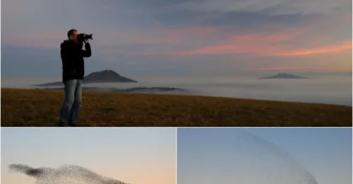 Photographer Shoots a 1-in-a-Million Shot—Misses the Miracle Until Viewing at Home