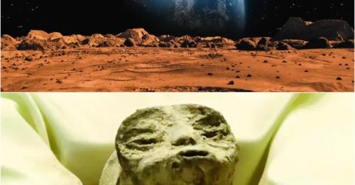 ALIEN TWIN FOUND: Scientists Discover 'Mirror Copy' of Extraterrestrial Life Form!