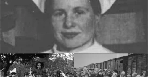 Scandal, Danger, and 2,500 Tiny Lives – The Shocking Truth Behind Irena Sendler’s Secret War!