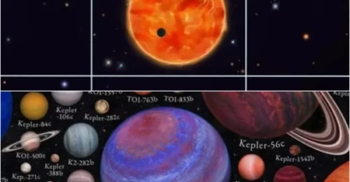 ALIEN LIFE DREAMS SHATTERED: 200-Planet Survey Reveals Grim Truth About Extraterrestrials