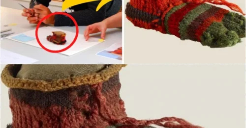 Mind-Blowing Find: This 1,700-Year-Old Sock Reveals Ancient Egypt Was the Fashion Capital!