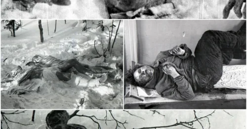 The Dyatlov Pass Incident: 9 Hikers Mysteriously Perished in 1959—The Horrifying Details of Their Final Moments Will Haunt You Forever!