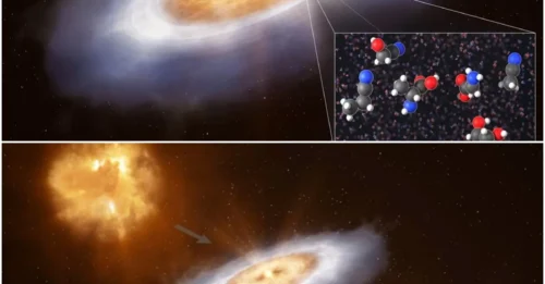 Complex molecules found orbiting a young star strongly point to the origins of life