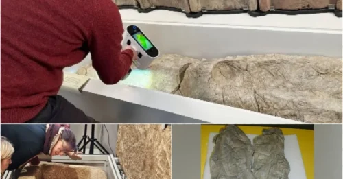 Scanning Technology Exposes the Horrifying Secret of Roman Gypsum Burials