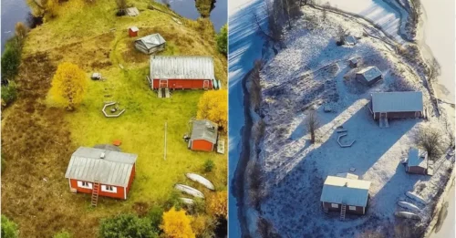 Kotisaari Island’s Shocking Transformation Through 4 Seasons Will Leave You Breathless